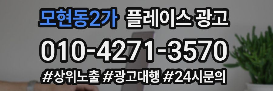 모현동2가 플레이스 광고