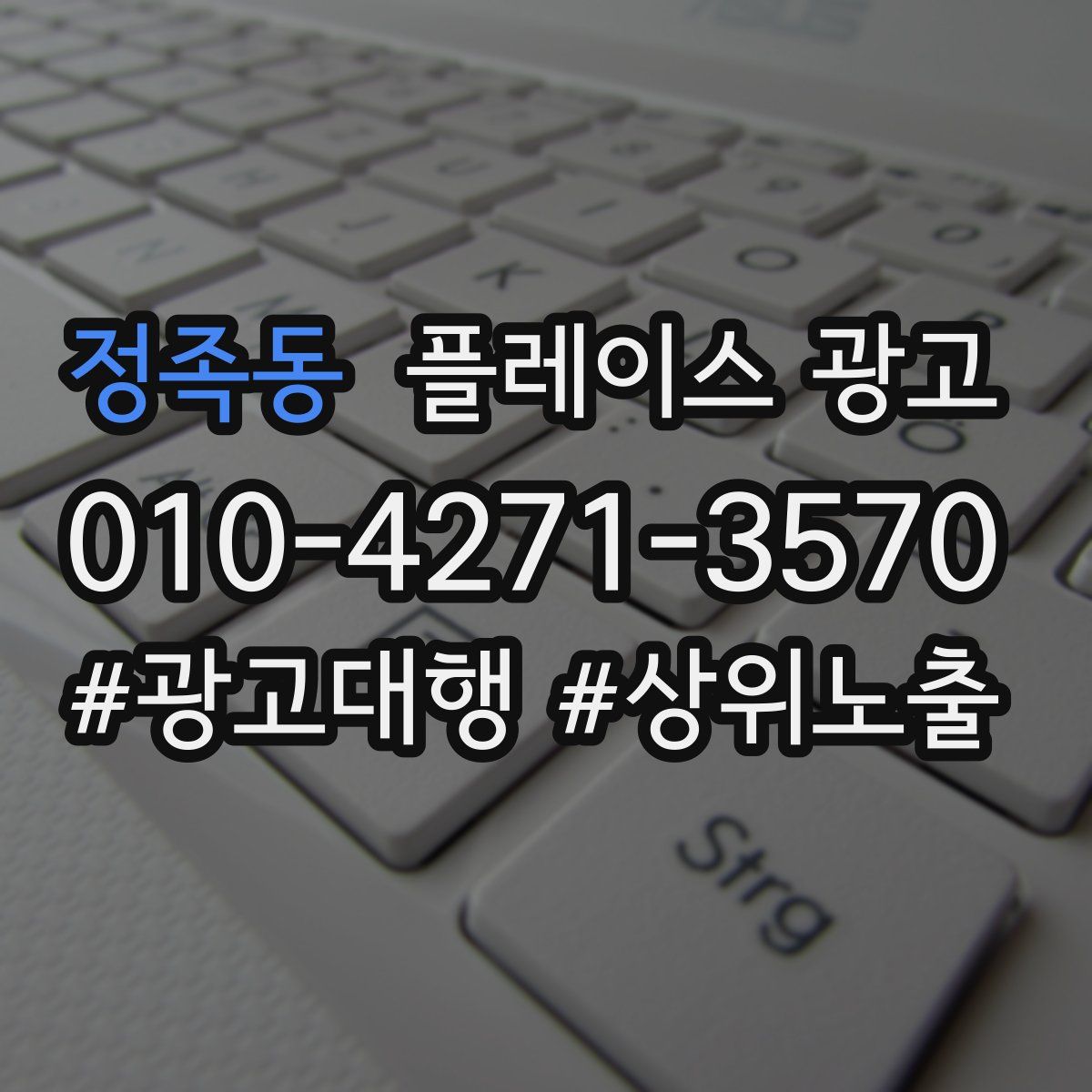 정족동 플레이스 광고
