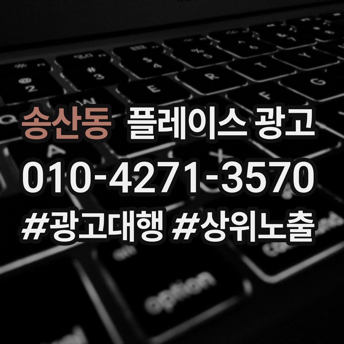 송산동 플레이스 광고