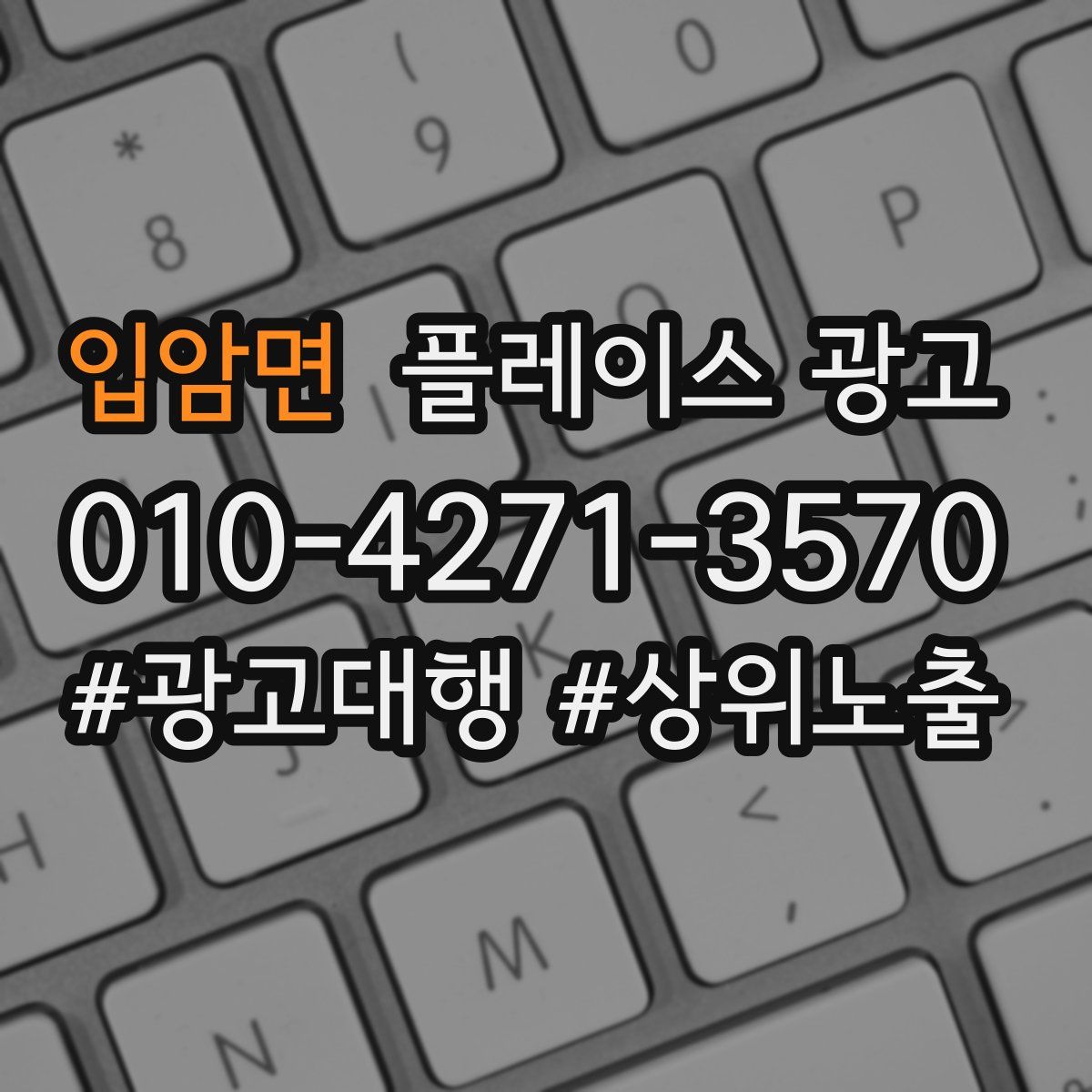 입암면 플레이스 광고