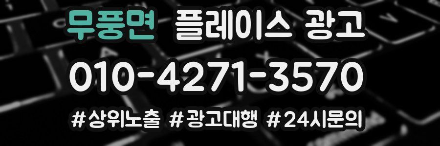 무풍면 플레이스 광고