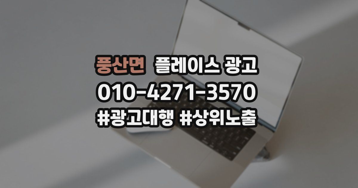 풍산면 플레이스 광고