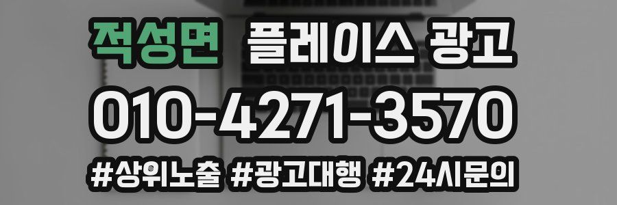 적성면 플레이스 광고