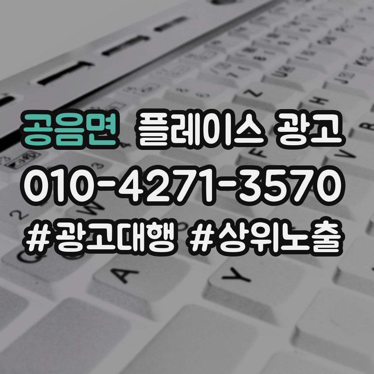 공음면 플레이스 광고