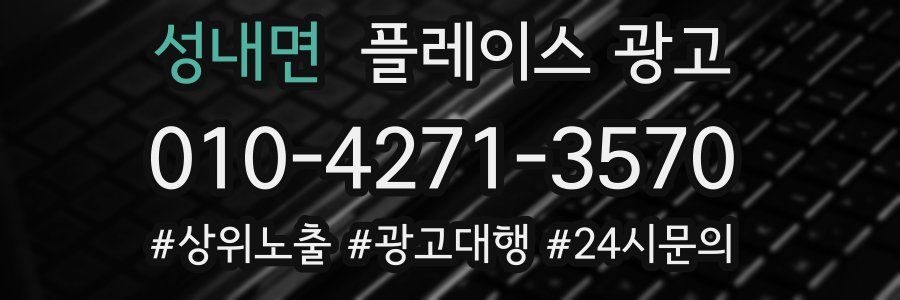 성내면 플레이스 광고