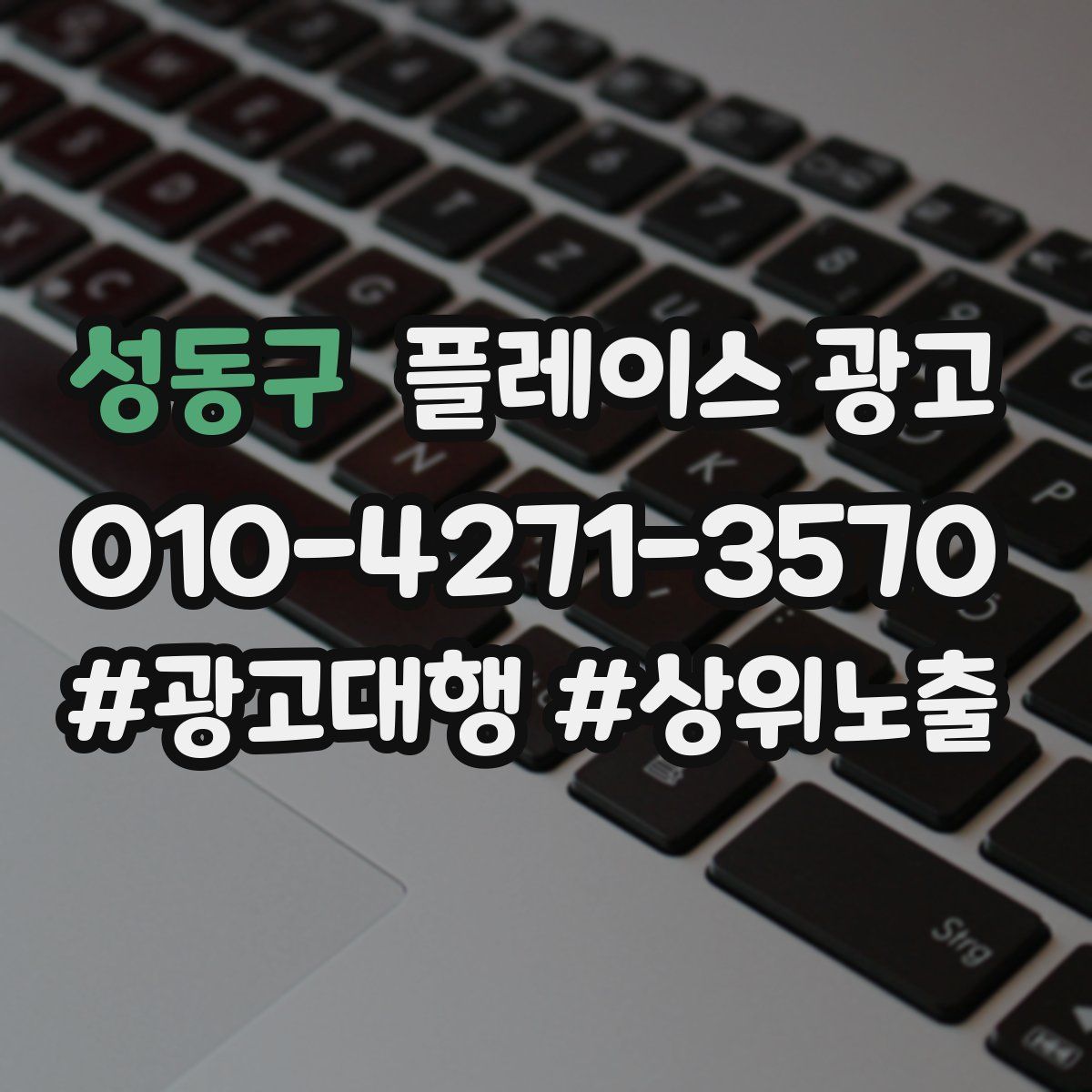 성동구 플레이스 광고
