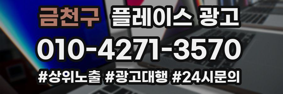 금천구 플레이스 광고