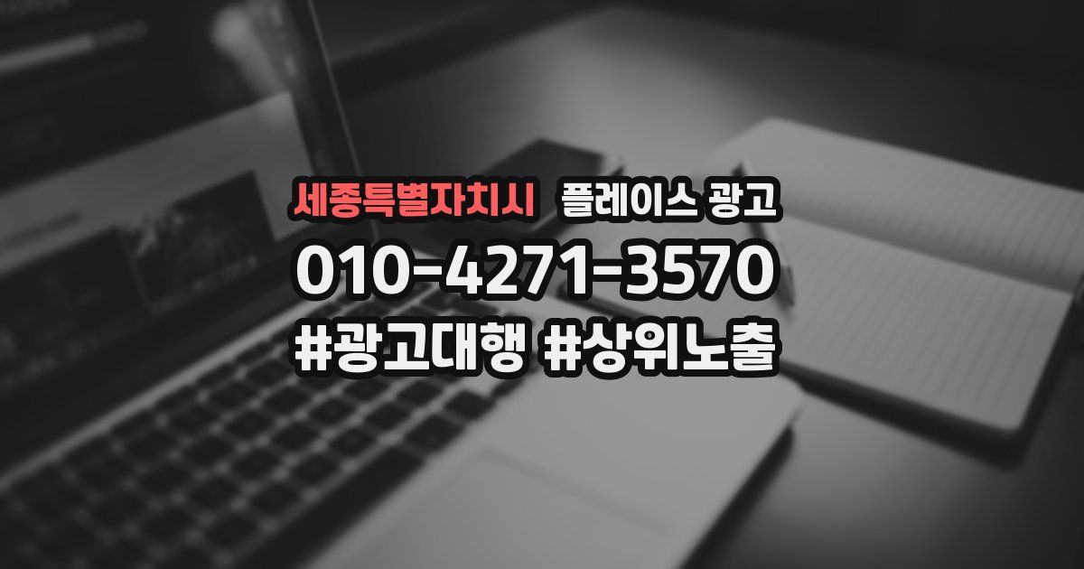 세종특별자치시 플레이스 광고