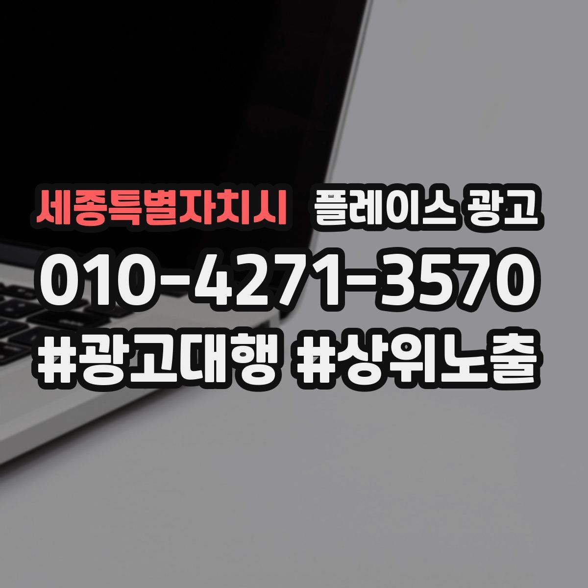 세종특별자치시 플레이스 광고