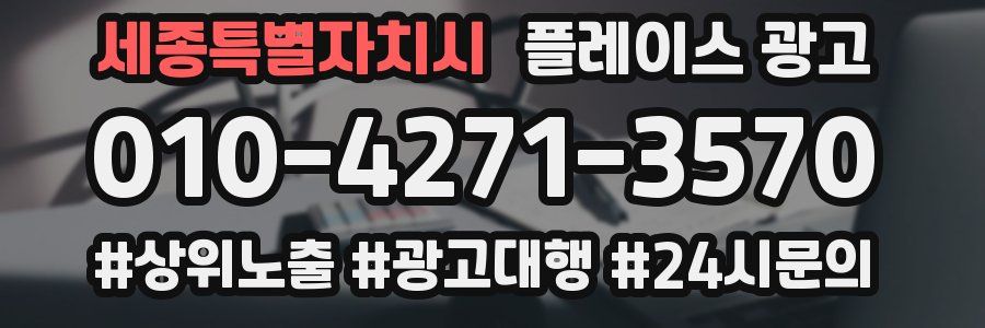 세종특별자치시 플레이스 광고