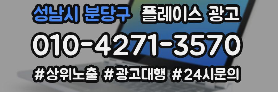 성남시 분당구 플레이스 광고