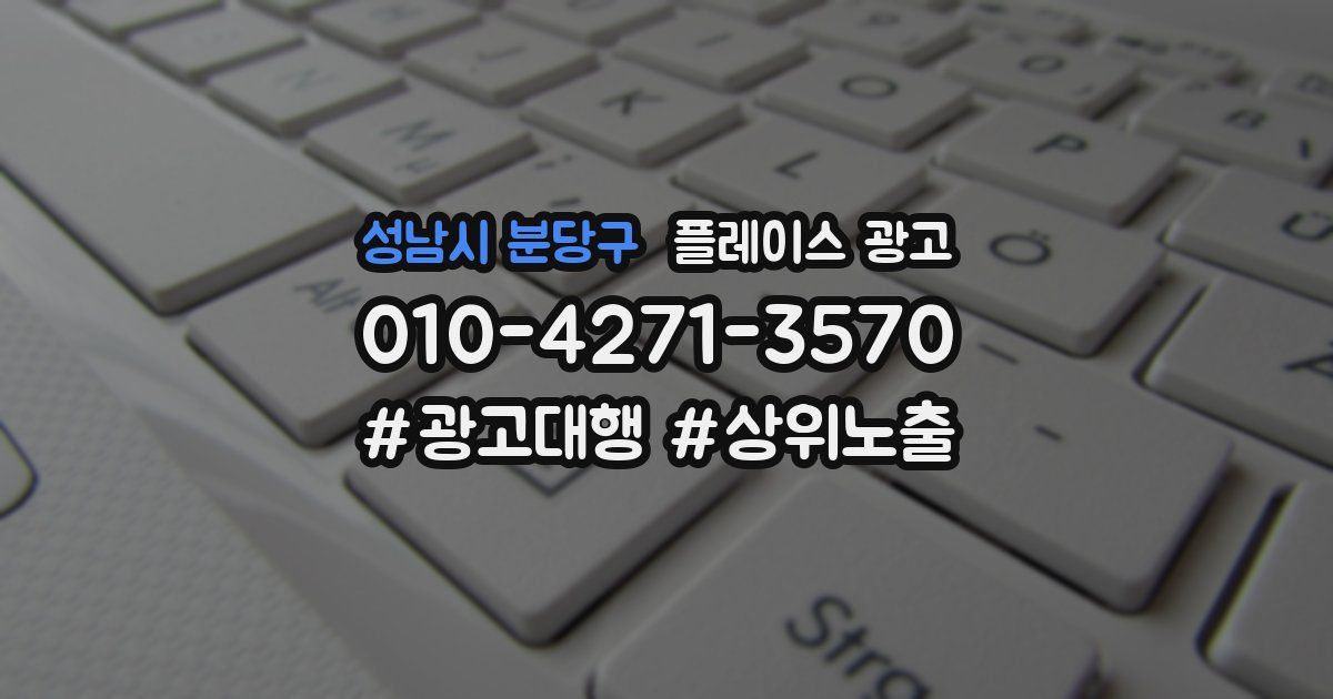 성남시 분당구 플레이스 광고