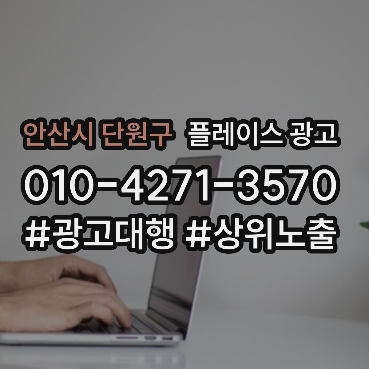 안산시 단원구 플레이스 광고