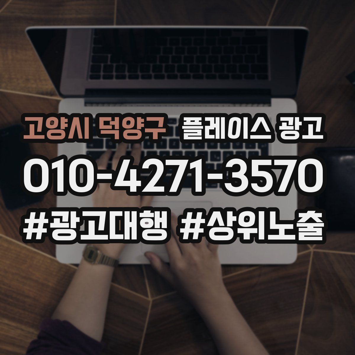 고양시 덕양구 플레이스 광고