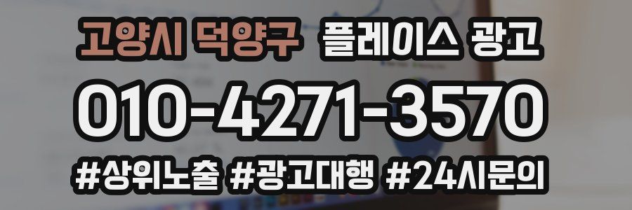 고양시 덕양구 플레이스 광고