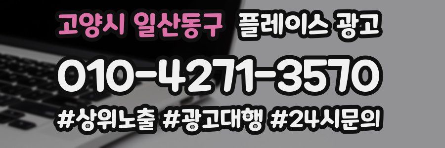 고양시 일산동구 플레이스 광고
