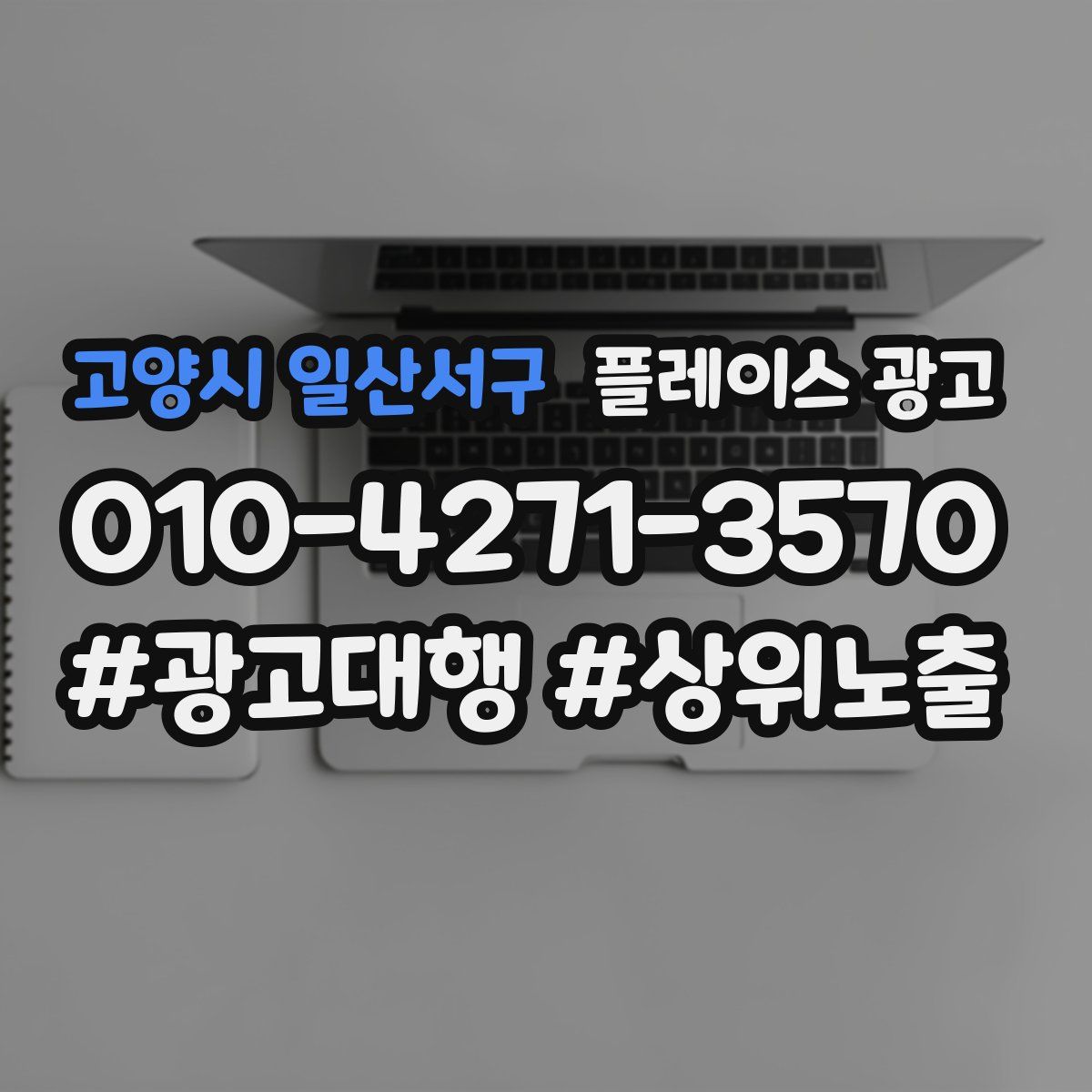 고양시 일산서구 플레이스 광고