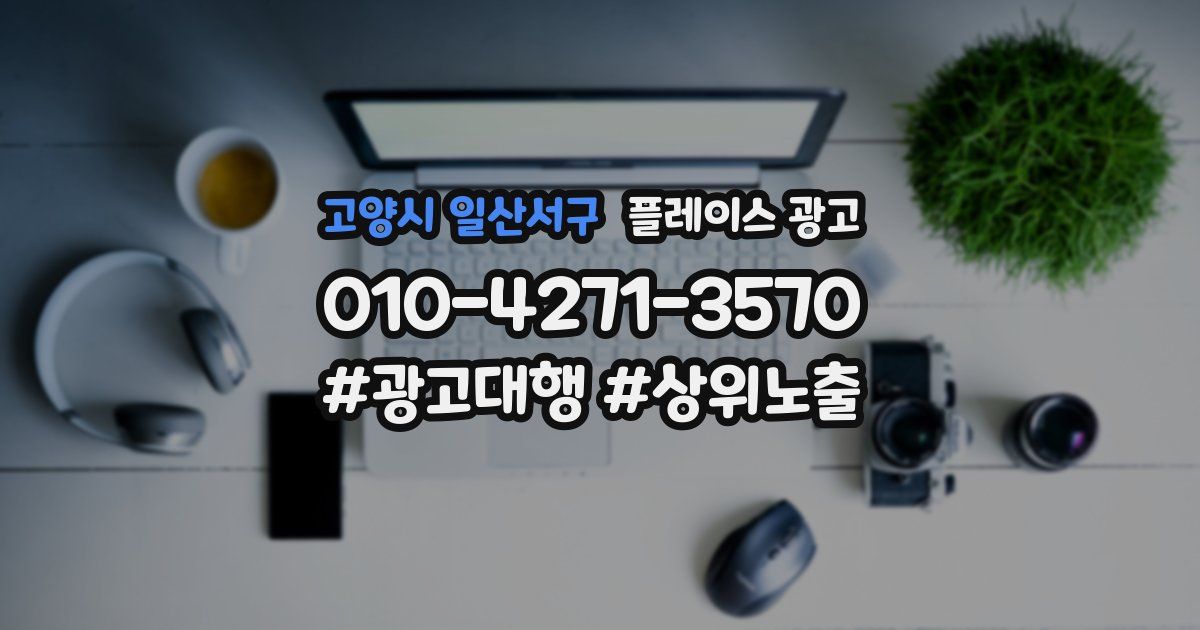 고양시 일산서구 플레이스 광고