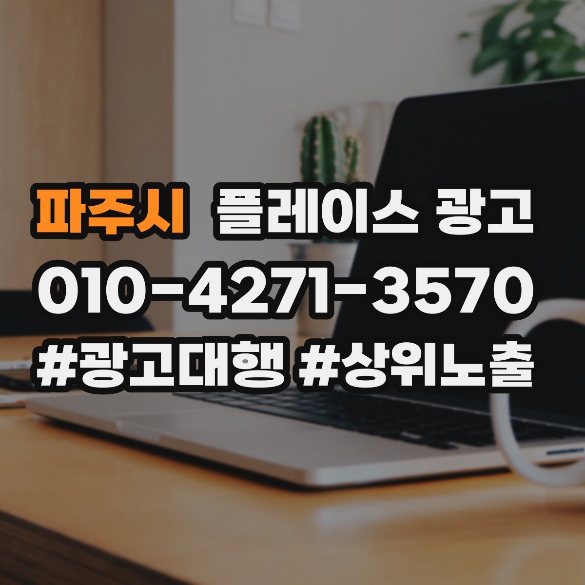 파주시 플레이스 광고