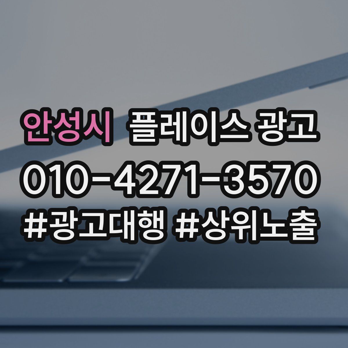 안성시 플레이스 광고