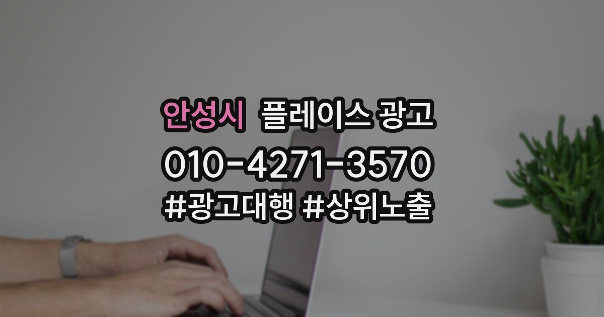 안성시 플레이스 광고