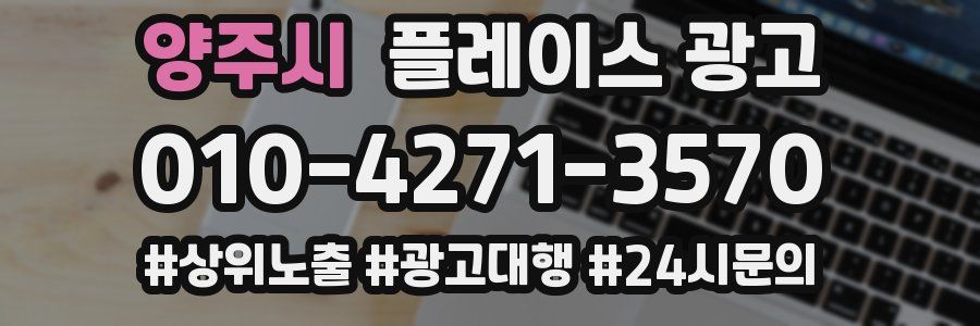 양주시 플레이스 광고