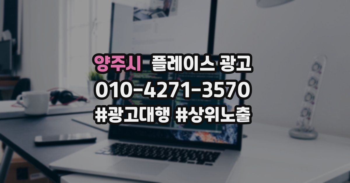 양주시 플레이스 광고