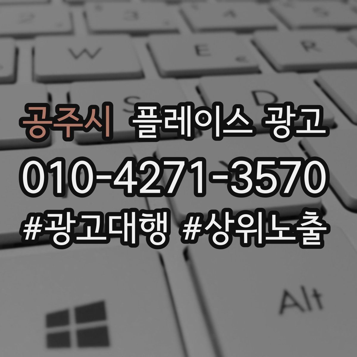 공주시 플레이스 광고