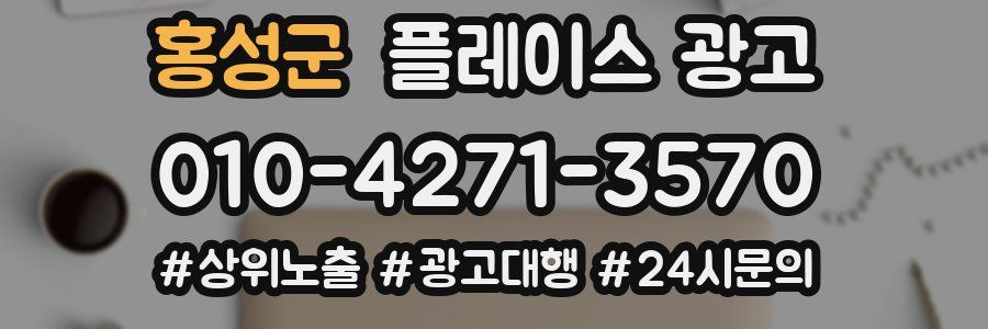 홍성군 플레이스 광고