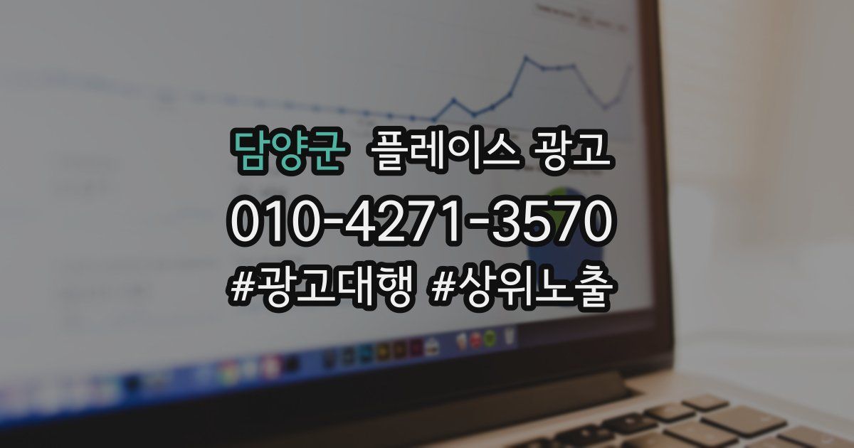 담양군 플레이스 광고