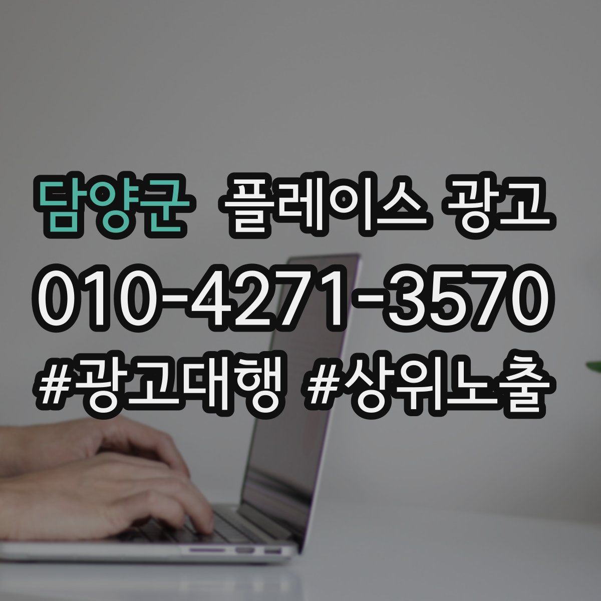 담양군 플레이스 광고