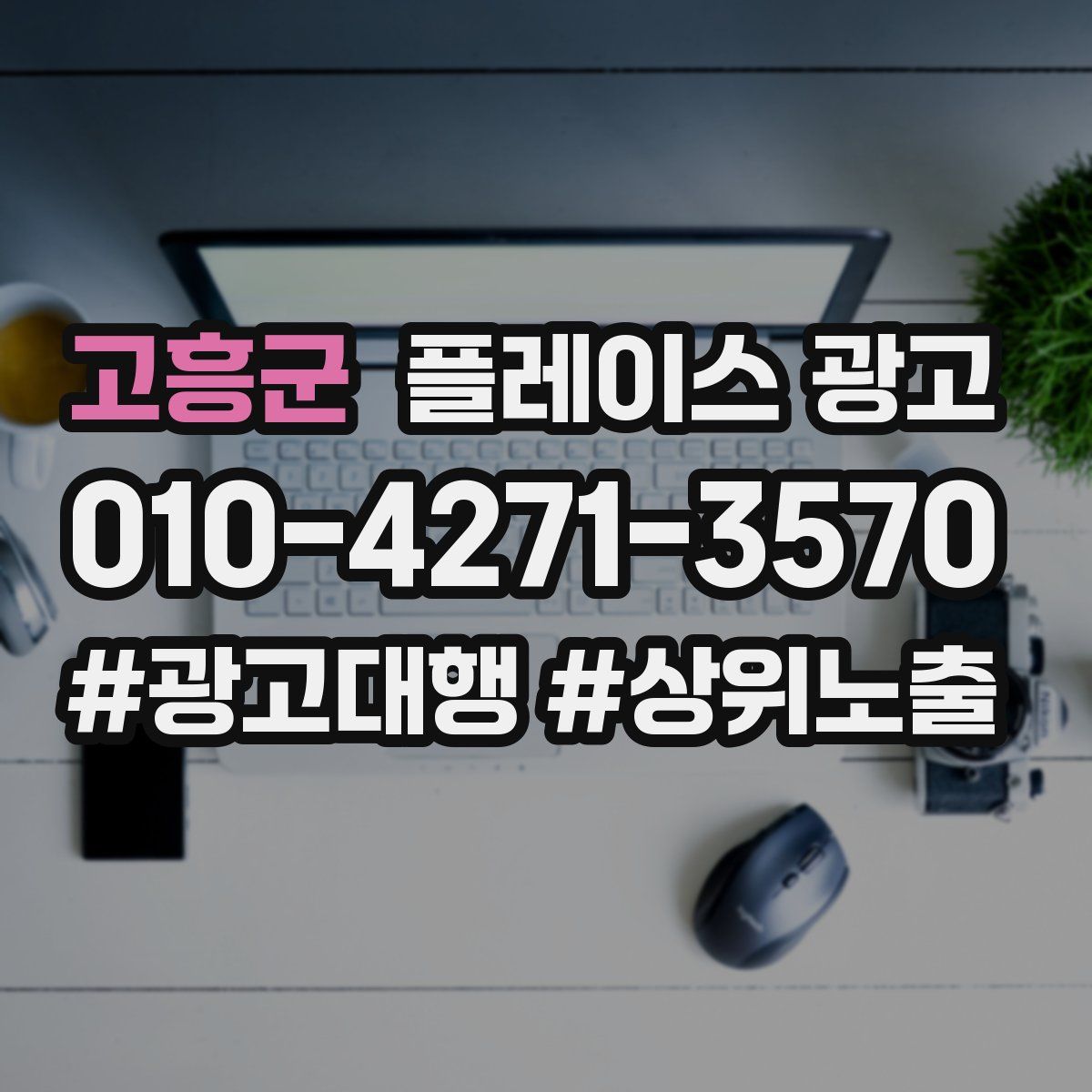 고흥군 플레이스 광고