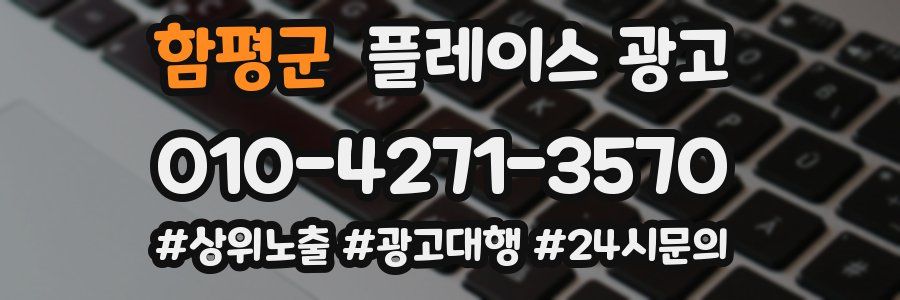 함평군 플레이스 광고