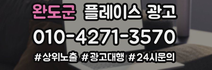 완도군 플레이스 광고