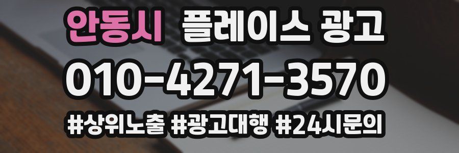 안동시 플레이스 광고