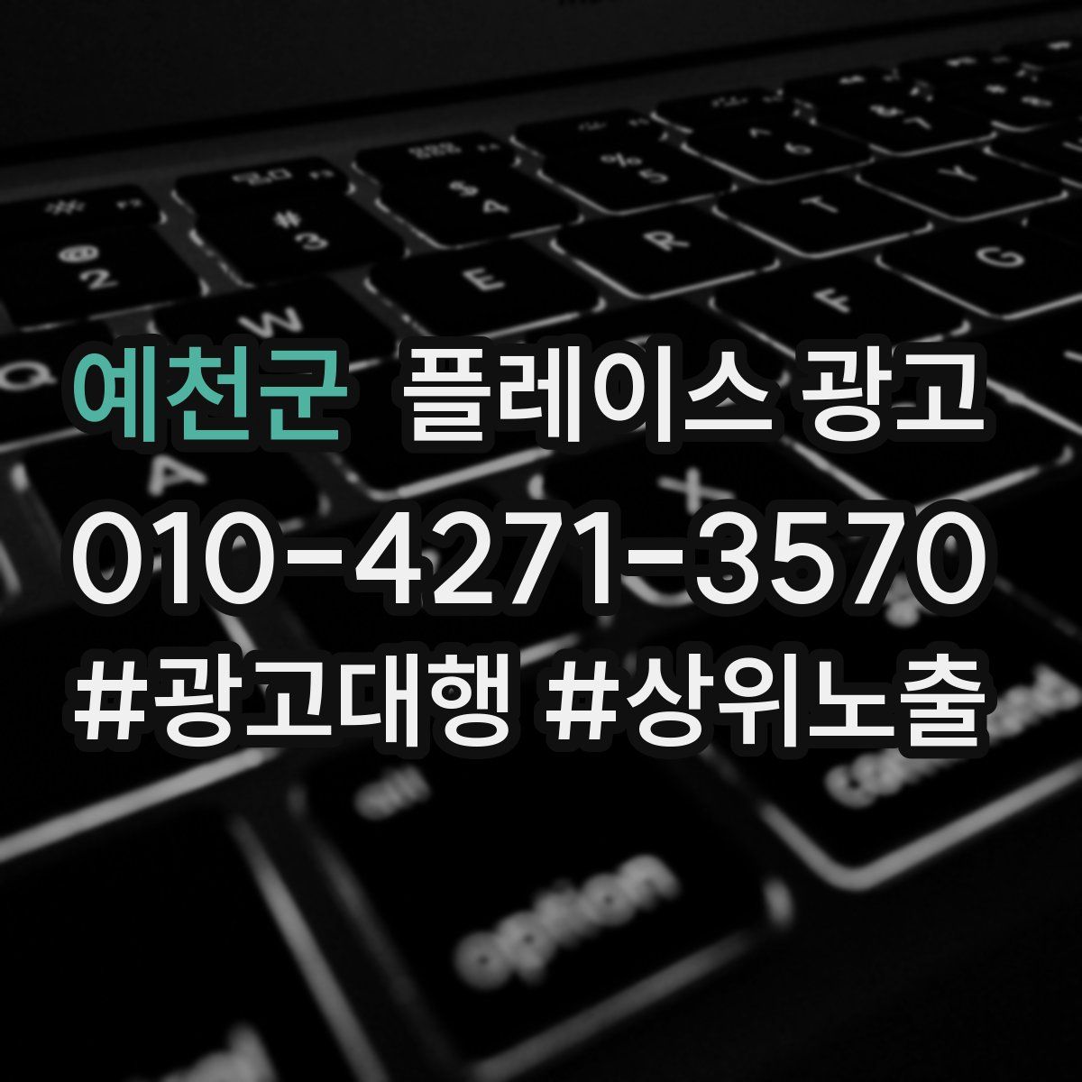 예천군 플레이스 광고