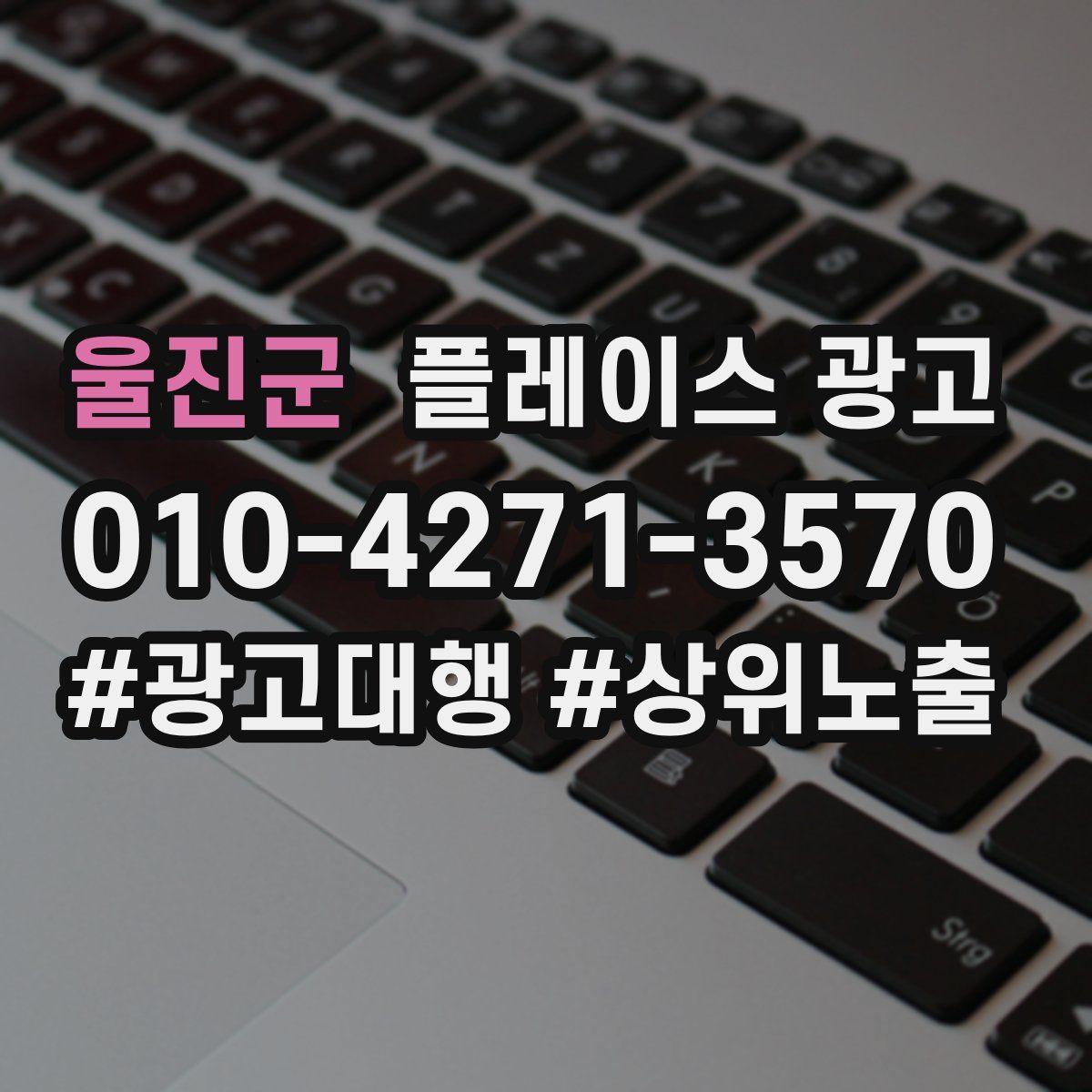 울진군 플레이스 광고