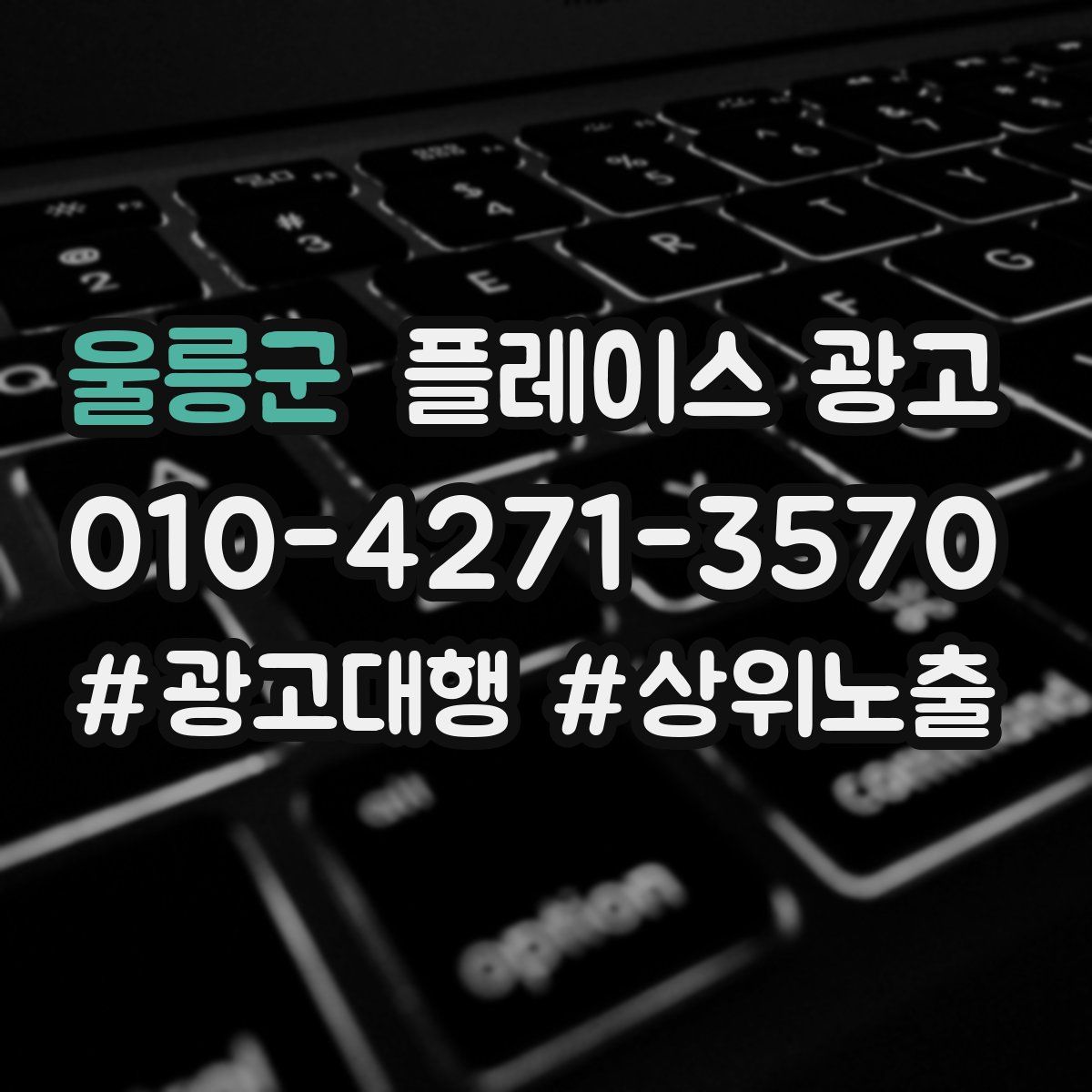 울릉군 플레이스 광고