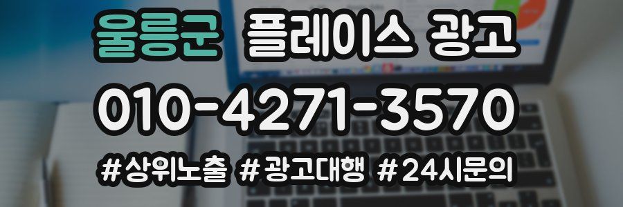 울릉군 플레이스 광고