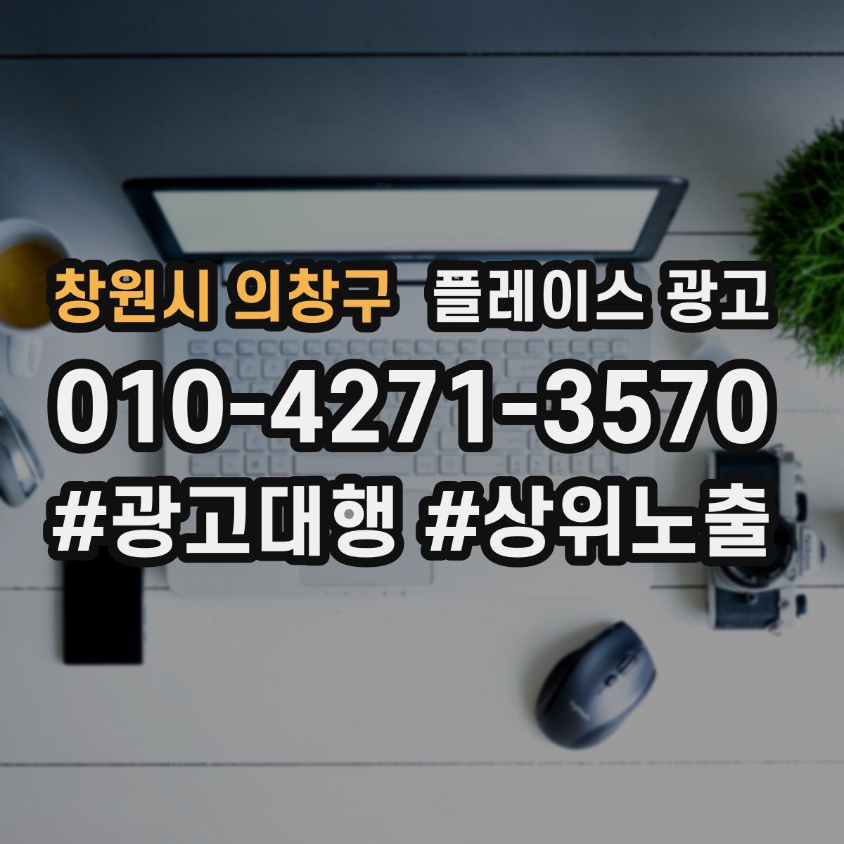 창원시 의창구 플레이스 광고