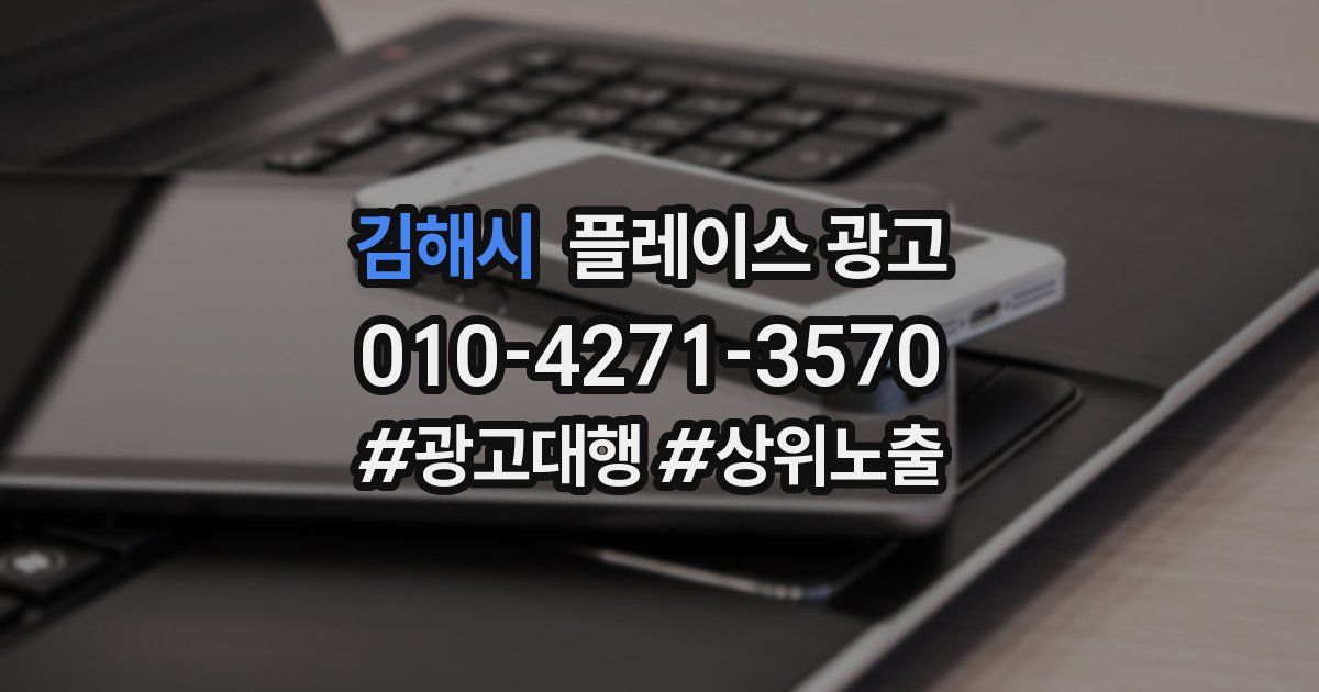 김해시 플레이스 광고