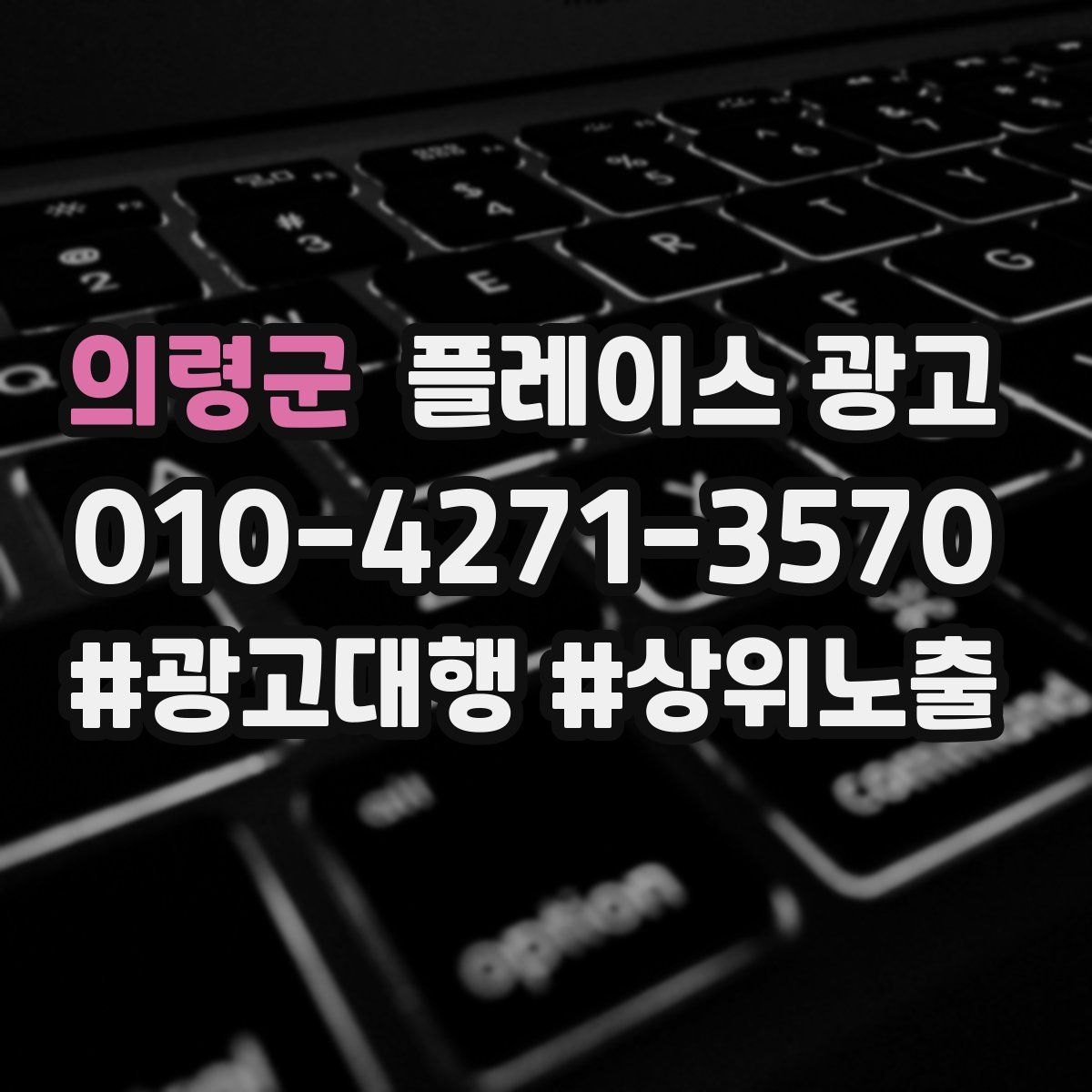 의령군 플레이스 광고