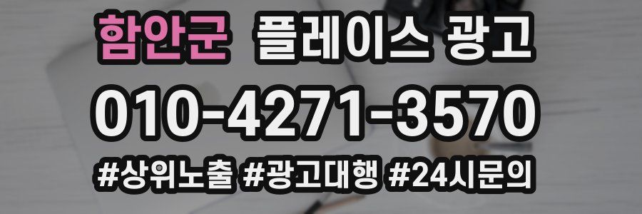 함안군 플레이스 광고