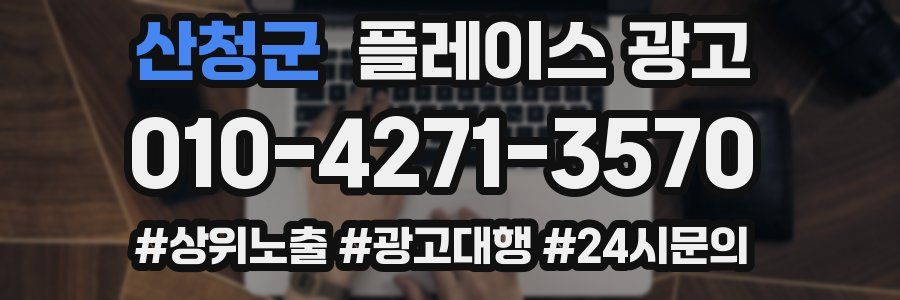 산청군 플레이스 광고