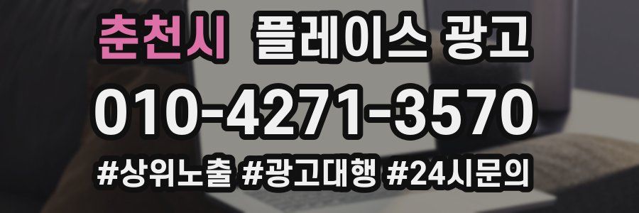 춘천시 플레이스 광고