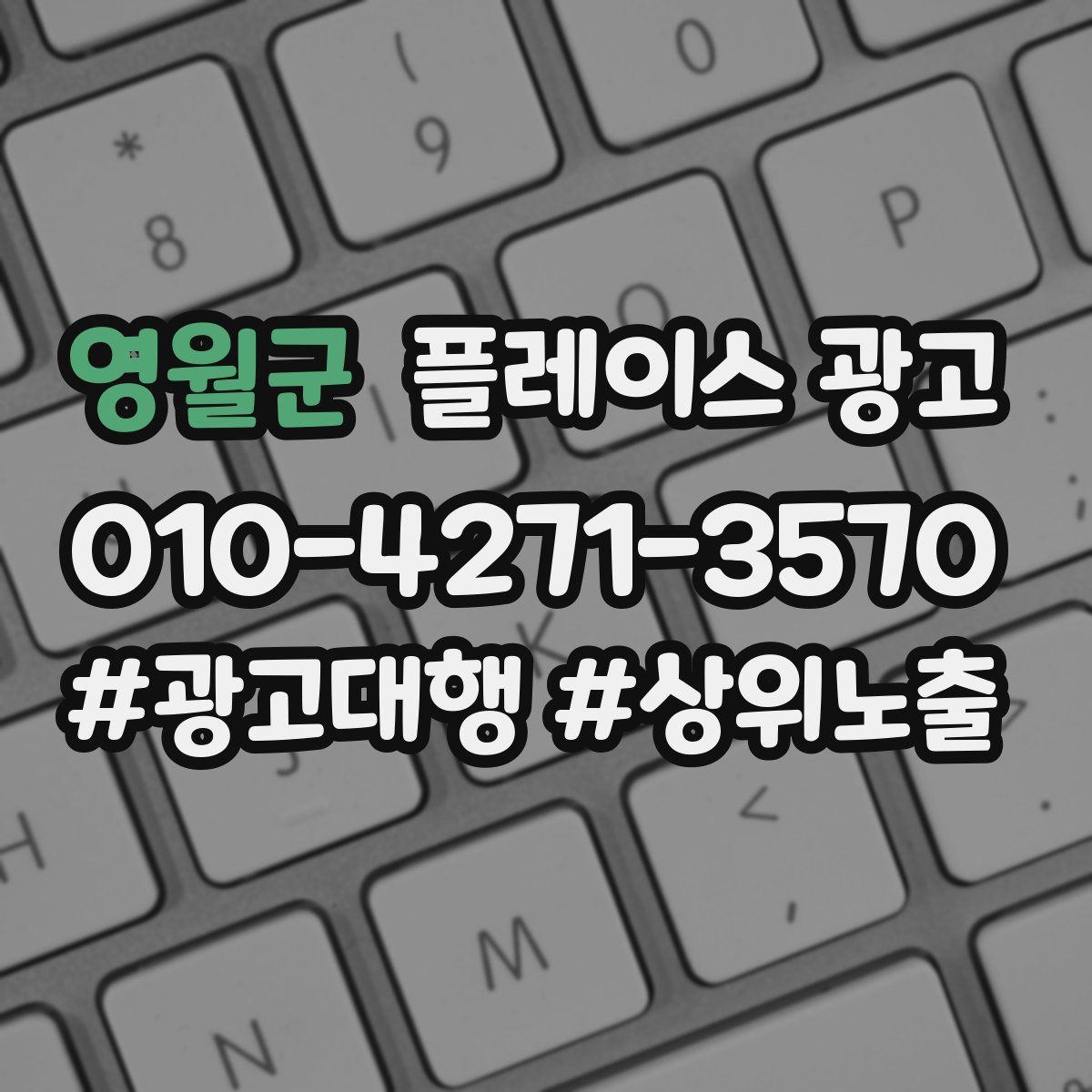 영월군 플레이스 광고