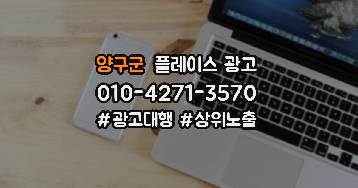 양구군 플레이스 광고