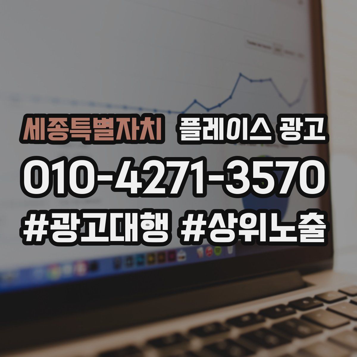 세종특별자치 플레이스 광고