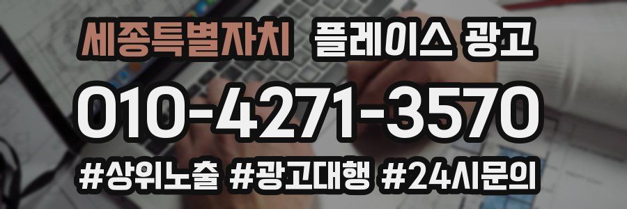 세종특별자치 플레이스 광고
