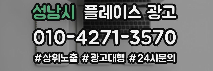 성남시 플레이스 광고